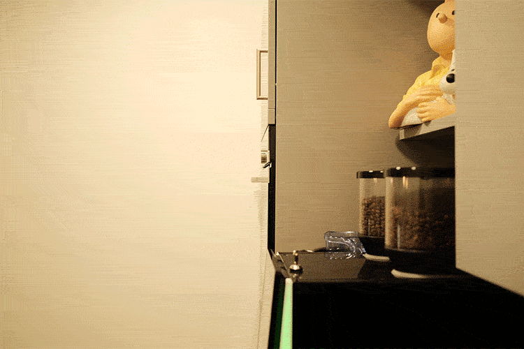 Animation fabian-saloga